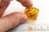 SUPERB Well Preserved Colorful SPIDER Inclusion BALTIC AMBER 2448