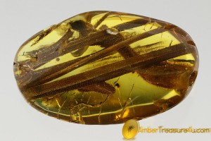 Superb Looking Large PLANT TWIGS & LEAVES in Genuine BALTIC AMBER 2483