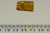 PHANTOM MIDGE Chaoboridae Chaoborus Rare Inclusion BALTIC AMBER 2661