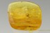 Large Bunch of MAMMALIAN HAIR & Insects Inclusion BALTIC AMBER 2507