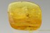 Large Bunch of MAMMALIAN HAIR & Insects Inclusion BALTIC AMBER 2507