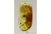 MESH WEB SPIDER Dictynidae Mastigusa Weird Pedipalps BALTIC AMBER 2574