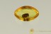  GLOMERIDAE Pill Millipede Extremely Rare Glomerida BALTIC AMBER 2619