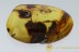 HUGE Spider Aranea Exuvia in Cobweb Inclusion BALTIC AMBER 2695