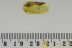 WINGLESS GNAT Extremely Rare Sciaridae Genuine BALTIC AMBER 2744