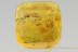 BIZARRE LARVAE Coleopteran Fossil Inclusion Genuine BALTIC AMBER 2849