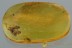 Spread Elytra LEAF BEETLE Hispinae Sucinagonia BALTIC AMBER 2920