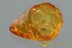 Great ATLATLIA Micro Dolichopodidae Fossil Genuine BALTIC AMBER 2995