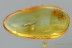 Rare TAPHRAMITES Bark Beetle & Wasp Fossil Genuine BALTIC AMBER 3004