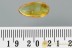 Rare TAPHRAMITES Bark Beetle & Wasp Fossil Genuine BALTIC AMBER 3004
