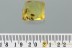 FIGHTING ANTS Formicidae & BEETLE LARVAE Fossil BALTIC AMBER 1.5g 3027