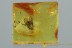 SUPERB Planthopper CIXIIDAE Fossil Genuine BALTIC AMBER 2.6g 3046