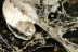 Great COBWEB & SPIDER Fossil Inclusion Genuine BALTIC AMBER 1.3g 3061