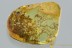 All Piece FILLED by MOSS Bryophyta Fossil BALTIC AMBER 3088