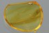 Nice RARE Wasp MEGALYRIDAE Fossil Inclusion Genuine BALTIC AMBER 3095