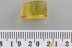 Rare FEATHER-WINGED BEETLE Ptiliidae Inclusion BALTIC AMBER 3111