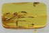 Nice CRICKET Gryllidae Fossil Inclusion Genuine BALTIC AMBER 1.8g 3173