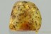 SUPERB Swarm of 100 GNATS Fossil Inclusion Genuine BALTIC AMBER 3198