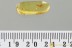 METAMORPHOSIS Just Emerged DUSTYWING Coniopterygidae BALTIC AMBER 3234