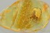 Huge Great SPIDER Araneae Fossil Inclusion Genuine BALTIC AMBER 3260