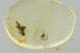 LADYBUG Lady Beetle COCCINELLIDAE Microweiseinae BALTIC AMBER 3266