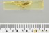 OMETHIDAE Rare FALSE SOLDIER BEETLE Electromethes BALTIC AMBER 3277