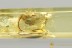 OMETHIDAE Rare FALSE SOLDIER BEETLE Electromethes BALTIC AMBER 3277