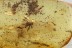 ORTHOPTERA Cricket GRYLLIDAE Fossil Inclusion BALTIC AMBER 8.1g 3280
