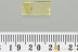 Rare WINGLESS WASP Megaspilidae Lagynodes Fossil BALTIC AMBE 3278