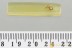 Rare NARROW-WAISTED BARK BEETLE Salpingidae Fossil BALTIC AMBER 3281