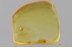 SOOTY MOULD BEETLE Cyclaxyridae Fossil Genuine BALTIC AMBER 3385