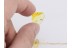 LEPIDOPTERA Nice Tiny MOTH in BALTIC AMBER 1270
