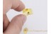 LEPIDOPTERA Nice MOTH in BALTIC AMBER 1271