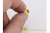MIMETIDAE Pirate SPIDER Inclusion in BALTIC AMBER 1288