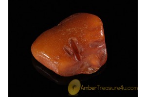 ANTIQUE BUTTERSCOTCH Large Genuine BALTIC AMBER Stone