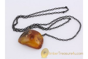 ANTIQUE Butterscotch Genuine BALTIC AMBER Pendant anp1