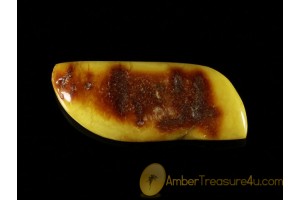 ANTIQUE Butterscotch Genuine BALTIC AMBER Huge Brooch abo1