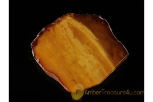 ANTIQUE Butterscotch Genuine BALTIC AMBER Huge Brooch abo5