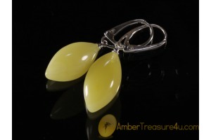 Butter Color Genuine BALTIC AMBER Silver Earrings