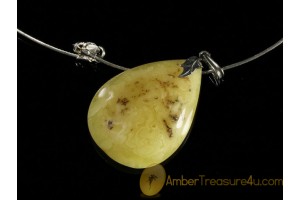 Butterscotch BALTIC AMBER Pendant - Silver Chain 18