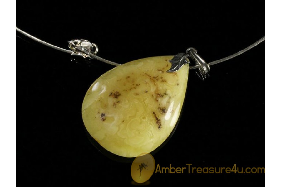 Butterscotch BALTIC AMBER Pendant - Silver Chain 18