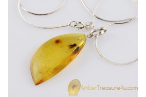 FOSSIL Caddisfly in BALTIC AMBER Pendant Silver Chain 18