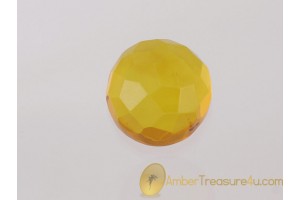 Faceted Clear Lemon Color BALTIC AMBER Cabochon 6