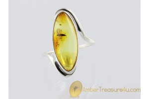 Genuine BALTIC AMBER Silver Ring 17.5mm 7.25 w FOSSIL INSECT