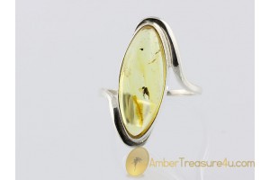 Genuine BALTIC AMBER Silver Ring 17.5mm 7.25 w FOSSIL INSECT