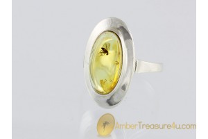 Genuine BALTIC AMBER Silver Ring 18mm 7.75 w FOSSIL INSECT