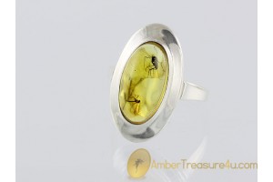 Genuine BALTIC AMBER Silver Ring 17.5mm 7.25 w FOSSIL 2 INSECTS