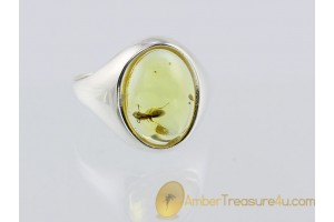 Genuine BALTIC AMBER Silver Ring 18mm 7.75 w Large ant 4mm