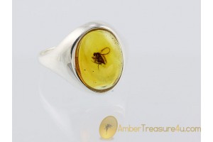 Genuine BALTIC AMBER Silver Ring 18.5mm 8.5 w Large  Fly