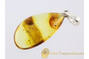 Genuine BALTIC AMBER Silver Pendant w Fossil MOTH LEPIDOPTERA